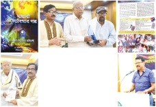 মায়াবী জ্যোৎস্নার গল্প...   