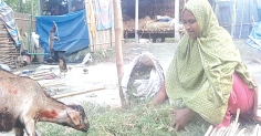 ফ্যামিলি কার্ড বদলে দিচ্ছে প্রান্তিক নারীর জীবন    