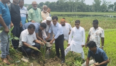 নওগাঁ পরিবেশ উন্নয়ন সংস্থার মাসব্যপি বৃক্ষরোপণ কর্মসূচি