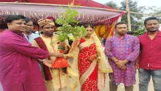 নব দম্পতিকে উপহার দেওয়া হলো বিরল প্রজাতির বৃক্ষের চারা