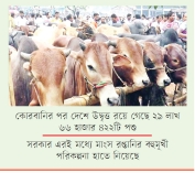 দেশে গো-সম্পদ এখন উদ্বৃত্ত আলোচনায় মাংস রপ্তানি    