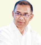 সারা দেশে পাঁচ বছরে ২৫ কোটি বৃক্ষরোপণ করবে সরকার