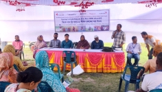 ঠাকুরগাঁওয়ে ব্রি ধান-১০২ চাষে কৃষকদের উদ্বুদ্ধ করতে মাঠ দিবস