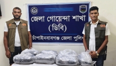 কুরিয়ার সার্ভিসে ডিবির অভিযান, দুই কার্টন গাঁজা জব্দ