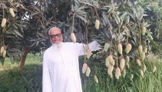 ১০২ জাতের আমের বাগান