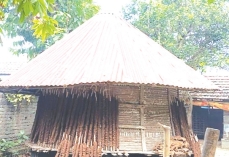 আধুনিক ইমারতের যুগে বিলুপ্তির পথে গোলাঘর