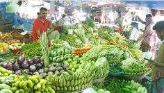 সিরাজগঞ্জে গ্রীষ্মকালীন সবজি চাষে বাম্পার ফলন