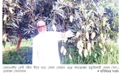 ১০২ জাতের আমের বাগান