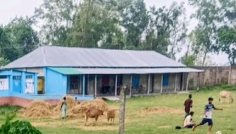 তারাগঞ্জে ছাত্রীদের শ্লীলতাহানির অভিযোগে শিক্ষক বরখাস্ত