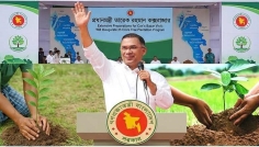 প্রধানমন্ত্রী কক্সবাজার যাচ্ছেন কাল, ২৫ কোটি বৃক্ষরোপণ কর্মসূচির উদ্বোধন