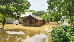 শেরপুরে পাহাড়ি ঢলে নিম্নাঞ্চল প্লাবিত