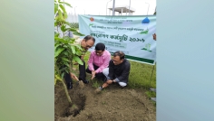 দাশেরকান্দিতে বৃক্ষরোপণ কর্মসূচির উদ্বোধন