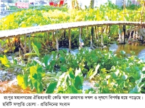 বর্জ্যের দুর্গন্ধ ও মশার উপদ্রবে বাড়ছে স্বাস্থ্যঝুঁকি