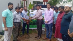 সারা দেশে ২৫ কোটি বৃক্ষরোপণ কর্মসূচির আওতায় কসবায় বৃক্ষরোপণ