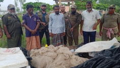 সুন্দরবনে বিষ প্রয়োগে মাছ ধরার অপরাধে ২ জেলে আটক