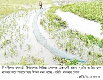 রিং জালে অবাদে শিকার বিলুপ্তির পথে দেশি মাছ