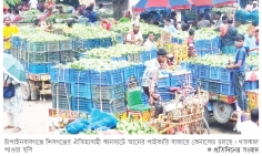 চাঁপাইয়ে ‘আম-অর্থনীতি’ চাঙ্গা হয়ে উঠেছে