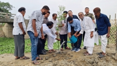 ধামরাইয়ে খাল খননের পর দুই পাশে গাছের চারা রোপণ