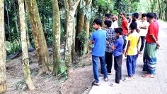 ভোলায় দাফনের ১৯ দিনের মাথায় কবর খুঁড়লেন স্বজনরা, দেখলো জীবিত না মৃত
