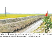 খালের জলে চাপা পড়ল কৃষকের কান্না