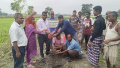 পীরগঞ্জে অভয়াশ্রম রক্ষণাবেক্ষণ মেরামত ও বৃক্ষরোপণ কার্যক্রম উদ্বোধন