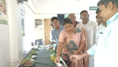 বদলগাছীতে জাতীয় ফলমেলা ২০২৬-এর উদ্বোধন ও আলোচনা সভা অনুষ্ঠিত