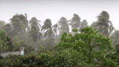 দেশের ৯ অঞ্চলে ঝড়ো হাওয়া ও বজ্রবৃষ্টির আভাস
