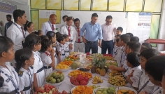 গাজীপুরে ফল উৎসব