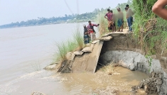যমুনায় পানি বাড়তেই ভাঙছে চরাঞ্চল