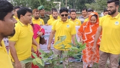 বেনাপোল বন্দরে বৃক্ষরোপন কর্মসূচির উদ্বোধন করলেন বন্দর পরিচালক