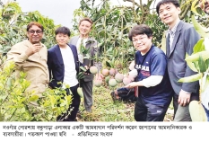 নওগাঁর আম যাচ্ছে জাপানে