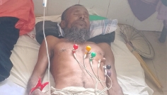 রাজবাড়ীর পাংশায় বিষধর সাপের কামড়ে কৃষকের মৃত্যু