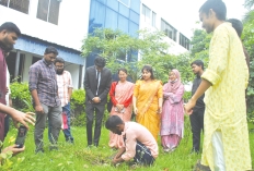 উৎসবে রাঙানো দ্বিপ্রহর