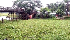 ভোলার লালমোহনে ব্রিজ ভেঙে ট্রাক খালে, চালক নিহত