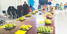 ফলের খোঁজে চট্টগ্রাম কলেজ উদ্ভিদবিজ্ঞান বিভাগের আয়োজন    
