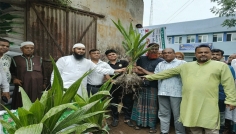 আমতলীতে ৬ হাজার কৃষককে ফলজ ও বনজ গাছের চারা বীজ ও সার বিতরন