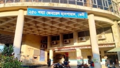 ফেনীতে গাছের সঙ্গে দ্রুতগতির ট্রাকের ধাক্কা, নিহত ২