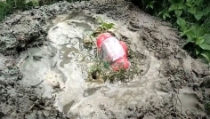 চুয়াডাঙ্গার দর্শনায়