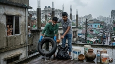 বর্ষার শুরুতেই ডেঙ্গু সংক্রমণ ঊর্ধ্বমুখী, বাড়ছে মৃত্যু