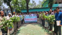 ডিমলায় ১৫ শিক্ষা প্রতিষ্ঠানে ৭৫০টি গাছের চারা বিতরণ