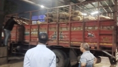 বেনাপোল বন্দরে কাগজপত্রবিহীন পণ্যবাহী ভারতীয় ট্রাক জব্দ