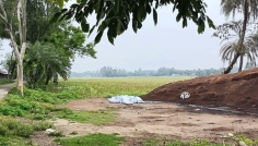 রায়গঞ্জে সড়কের পাশে মুরগির বিষ্ঠার স্তূপ, দুর্গন্ধে অতিষ্ঠ পথচারীরা
