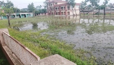 ড্রেন ভরাট করায় শার্শার রুদ্রপুরে পানিবন্দী দুই শিক্ষাপ্রতিষ্ঠানসহ ৪০ পরিবার