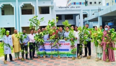 কুমিল্লার দাউদকান্দিতে গাছের চারা রোপণ ও বিতরণ কর্মসূচি