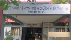 বদলগাছীর প্রাণিসম্পদ কর্মকর্তার বিরুদ্ধে অনিয়মের অভিযোগ