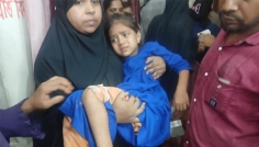 দুমকিতে কুকুরের কামড়ে শিশুসহ আহত ১১