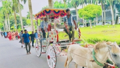 ঘোড়ার গাড়ি ও লাল গালিচায় বাকৃবি অধ্যাপকের রাজকীয় বিদায়
