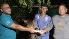 সাতক্ষীরার কলারোয়ার সেই অন্ধ ঘোড়ার দেখভাল করা কলেজছাত্রের পাশে তারেক রহমান