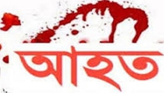 আমতলীতে ভাই-ভাবিকে কুপিয়ে আহত করল সৎ ভাই
