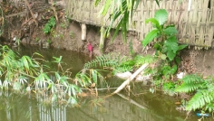 উলিপুরে বসতভিটার পাশে মাটি কাটার অভিযোগ, ধসের ঝুঁকিতে পরিবার